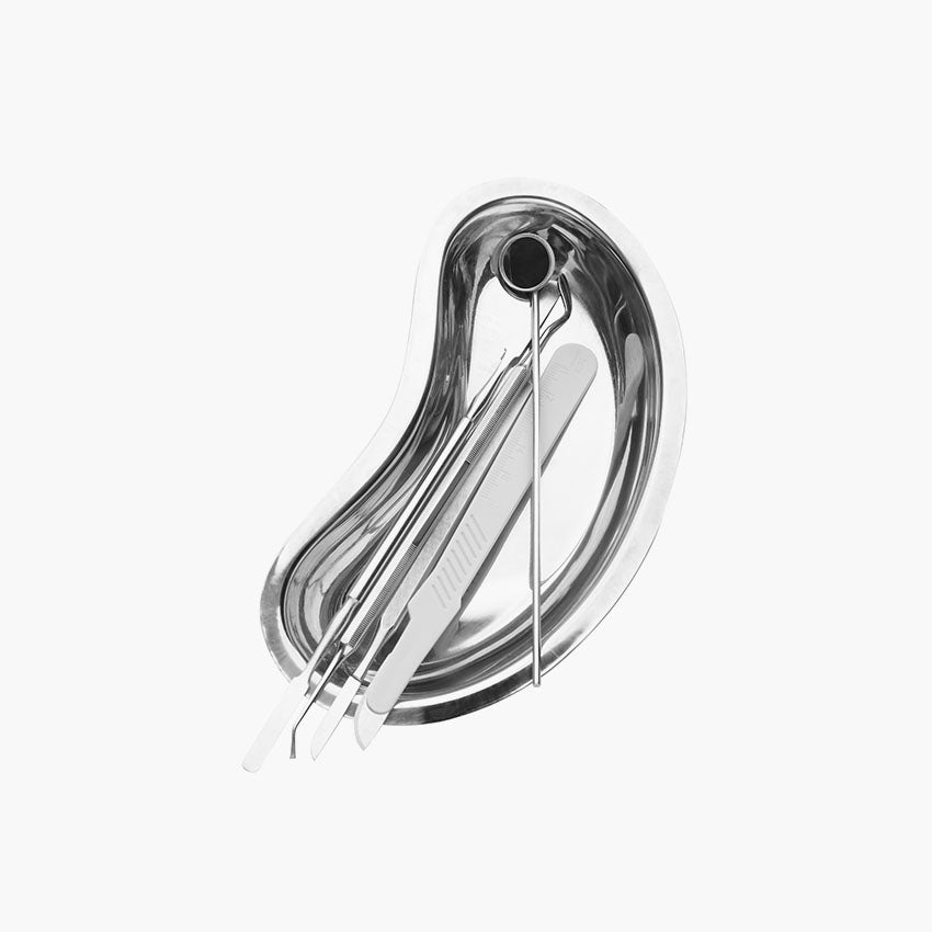 Stainless Kidney Tray